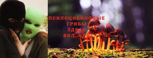 тгк Бородино