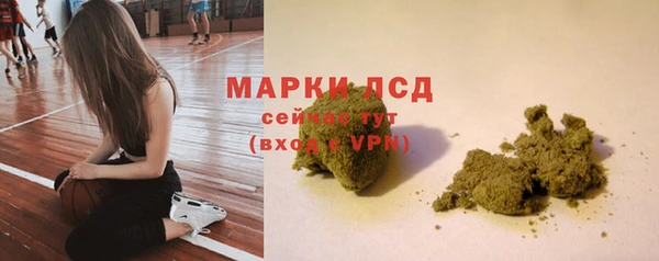 тгк Бородино