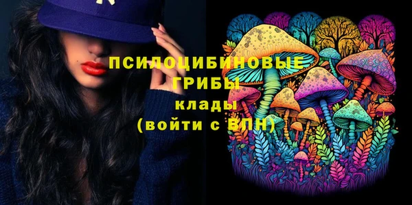 тгк Бородино