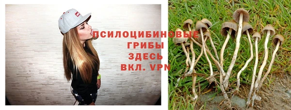 тгк Бородино
