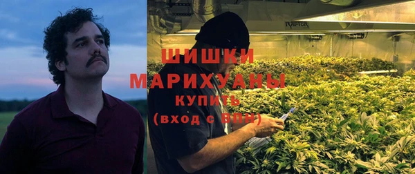 тгк Бородино