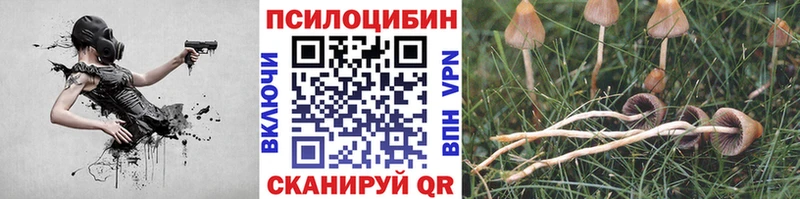 Купить закладки  Лукоянов  Псилоцибиновые грибы MAGIC MUSHROOMS 